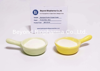 White / Yellowish Hydrolyzed Porcine Collagen Powder From Porcine Skin