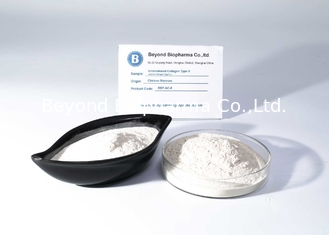 Good Flowability Native Collagen Type ii , Off White Chicken Collagen Powder