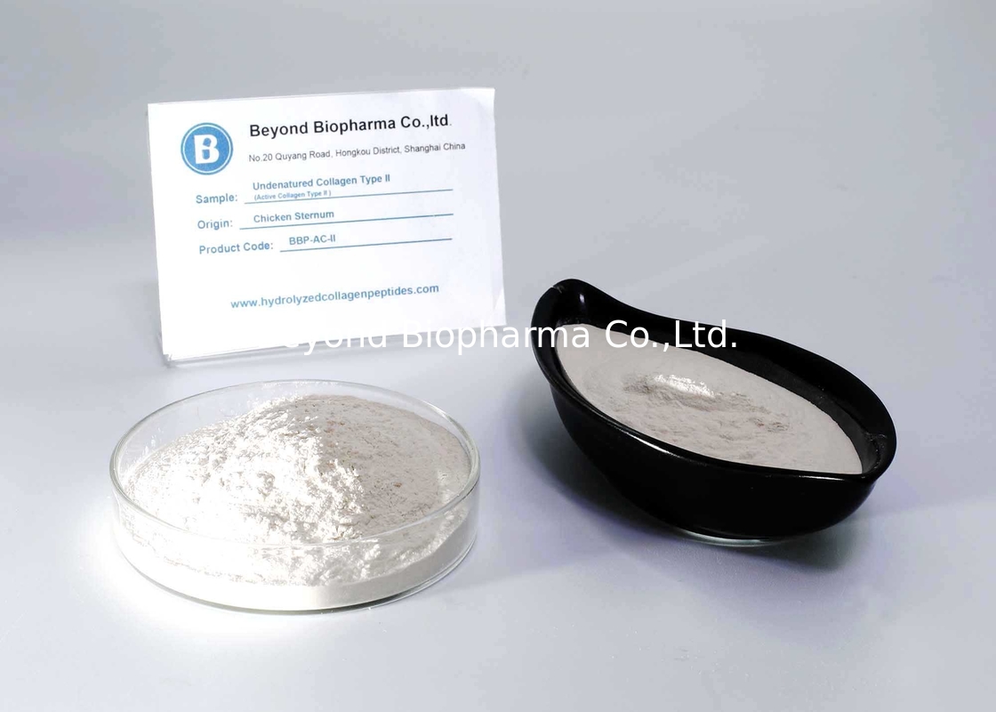non hydrolyzed collagen type 2