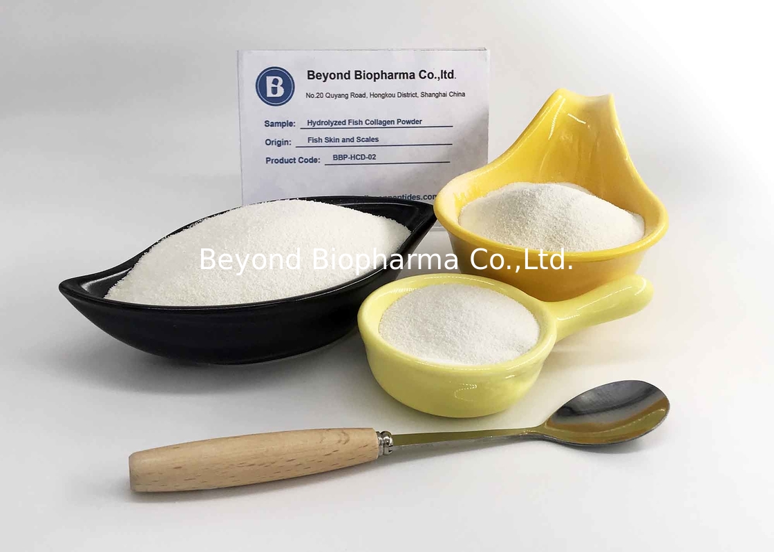 Hydrolyzed Collagen Peptides From Fish Skin / Scale , Type 1 Collagen