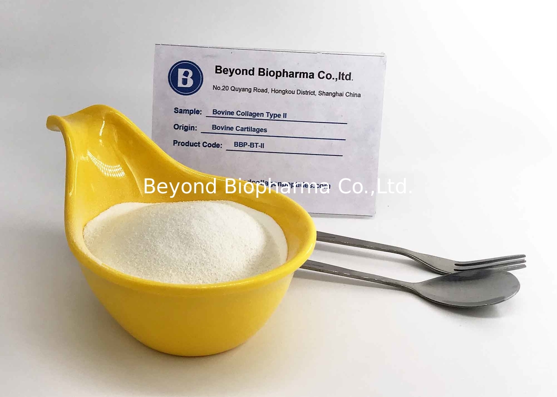non hydrolyzed collagen type 2