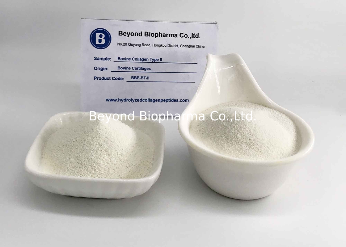 Hydrolyzed Bovine Collagen Type 2 Powder For Skin / Muscle / Joint Care