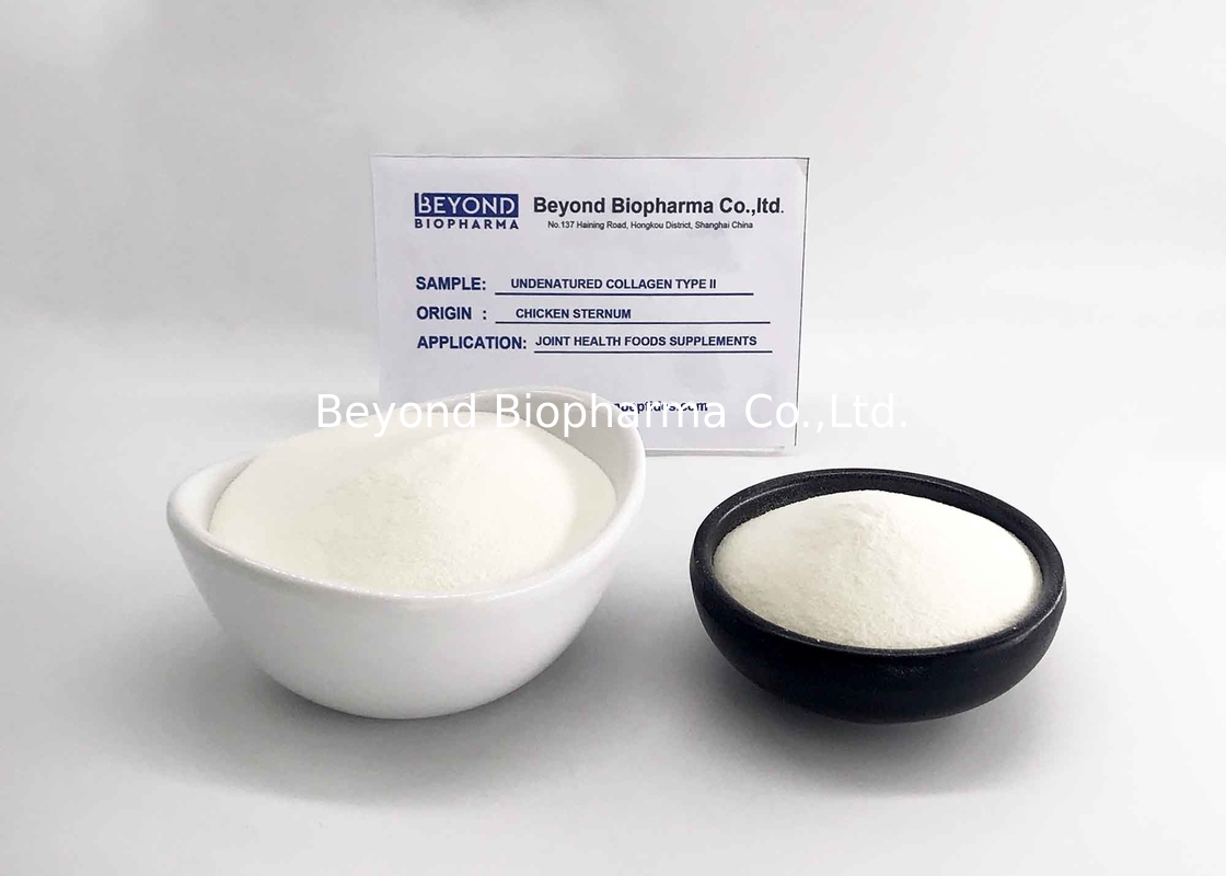 non hydrolyzed collagen type 2