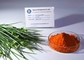 High Performance Curcumin Powder For Anti - Inflammatory Supplements