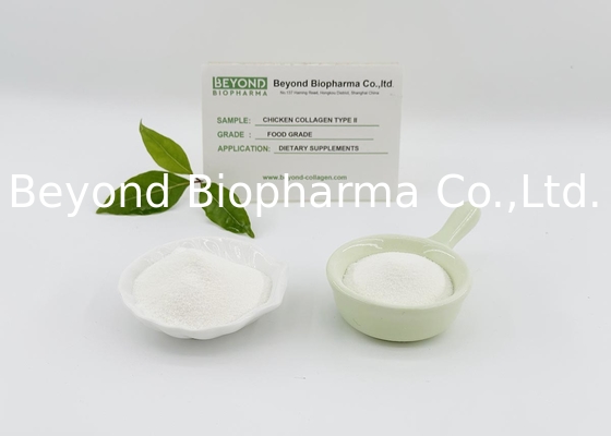 Type II Chicken Collagen Is The Essential Supplements for bone protection